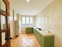 KJ Mansion (D19), Apartment #624174101